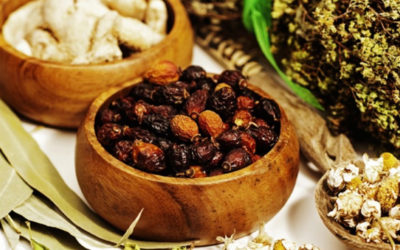 Ayurveda and Traditional Medicine