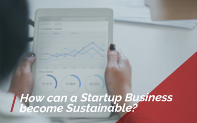 How Can a Startup Business Become Sustainable?