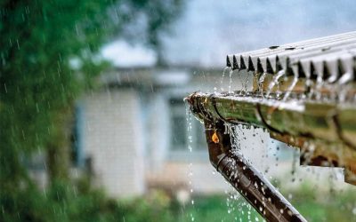 How to Start Rain Water Harvesting Business in India?