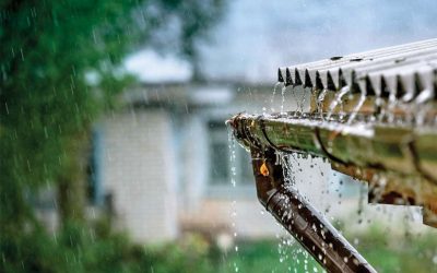 How to Start Rainwater Harvesting Business in India?