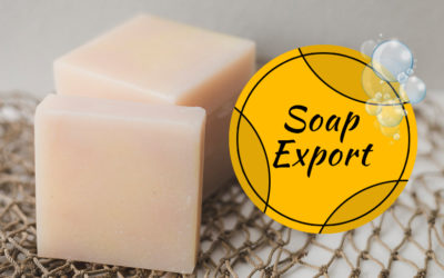 Soap Export - Business Ideas