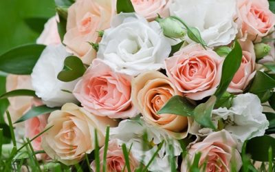 How to Start a Florist Business?