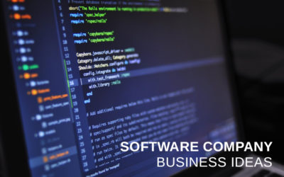 How To Start a Software Company?