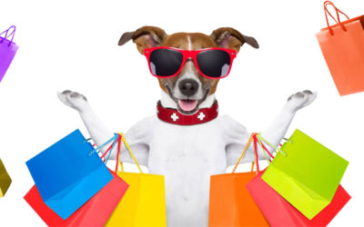 How to Start A Business Catering to The Needs of Pets?