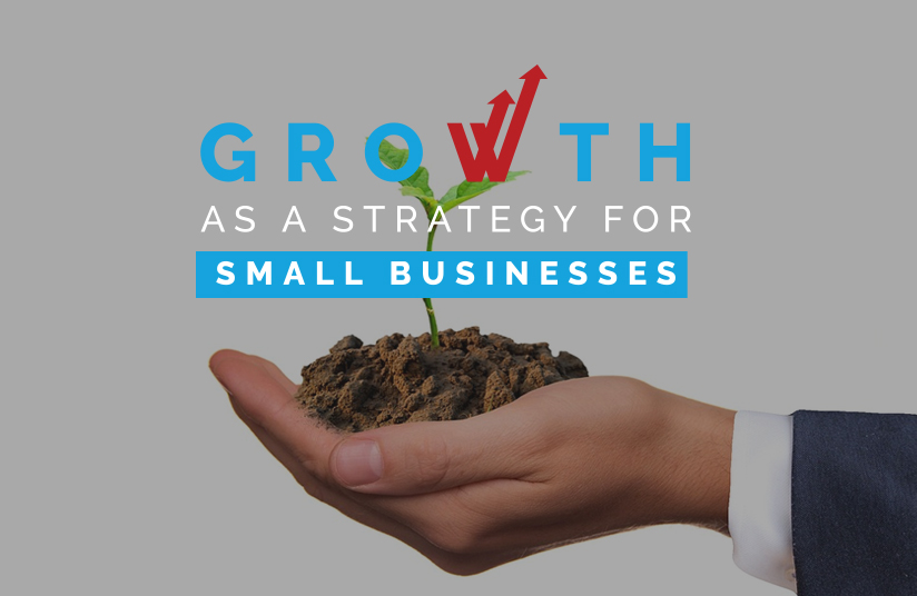 Growth as a Strategy for Small Businesses