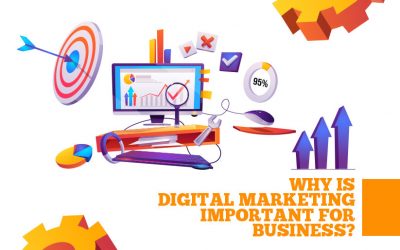 Why is Digital Marketing Important for Business?