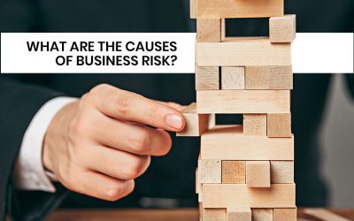 What are the Causes of Business Risk?