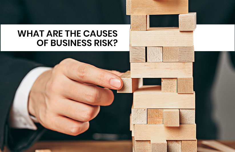 What are the Causes of Business Risk?