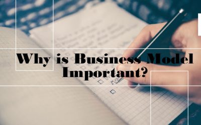 Why is the Business Model Important?