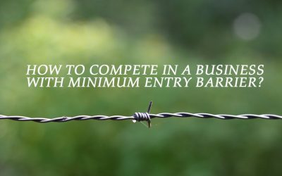 How to Compete in a Business with a Minimum Entry Barrier?