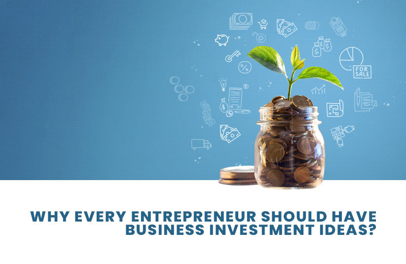 Why Every Entrepreneur Should Have Business Investment Ideas?