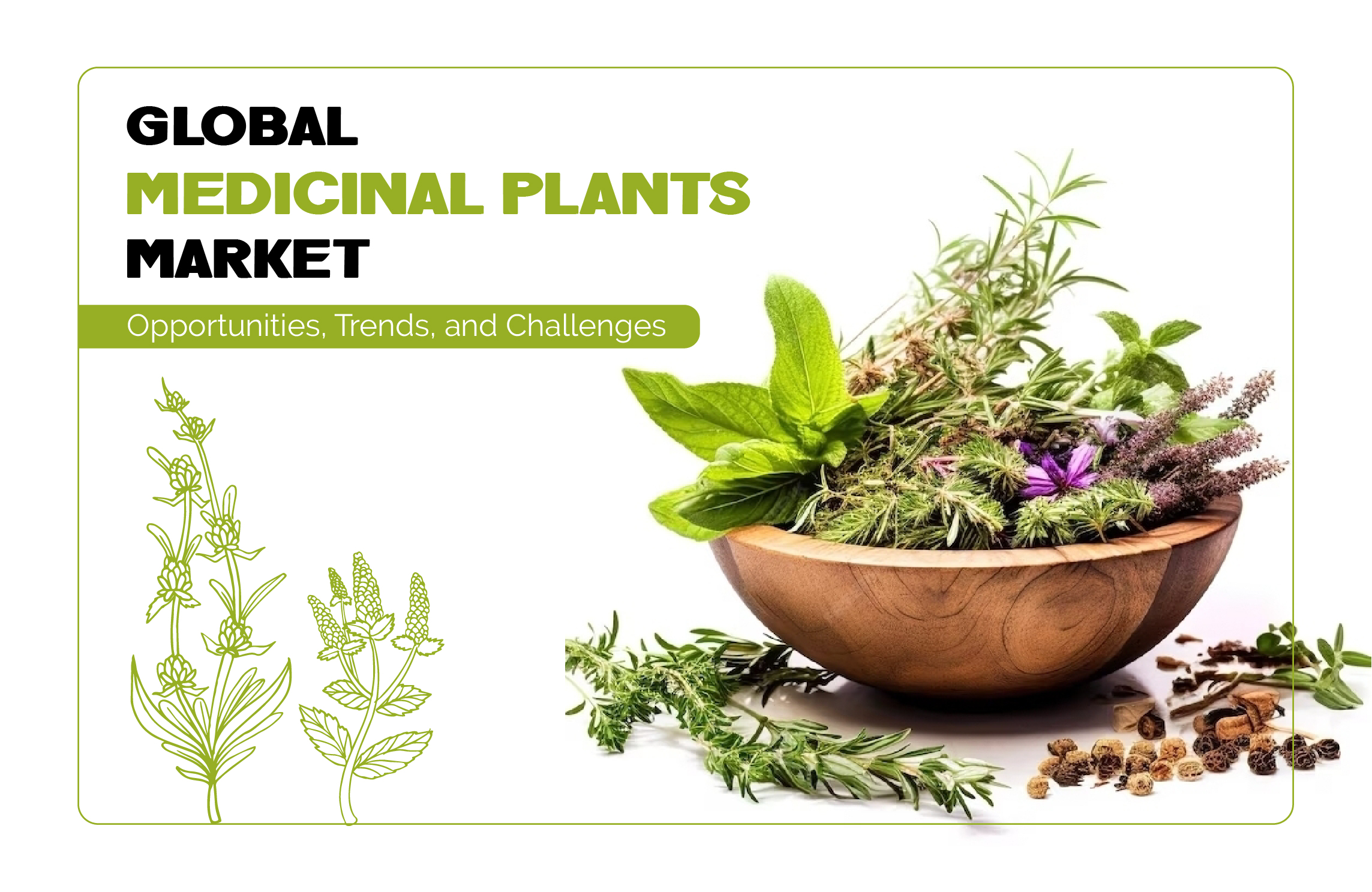Global Medicinal Plants Market: Opportunities, Trends, and Challenges