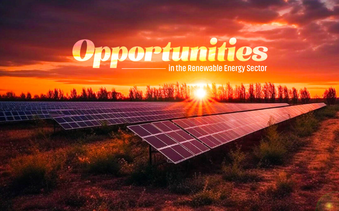 Opportunities in the Renewable Energy Sector