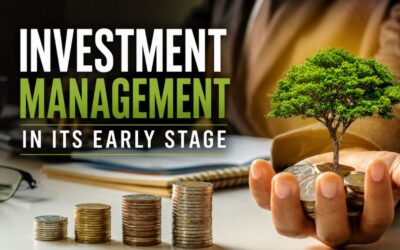Investment Management in its Early Stage