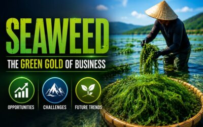 Seaweed: The Green Gold of Business – Opportunities, Challenges, and Future Trends