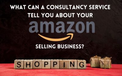 What Can a Consultancy Service Tell You About Your Amazon Selling Business?