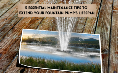 5 Essential Maintenance Tips to Extend Your Fountain Pump’s Lifespan