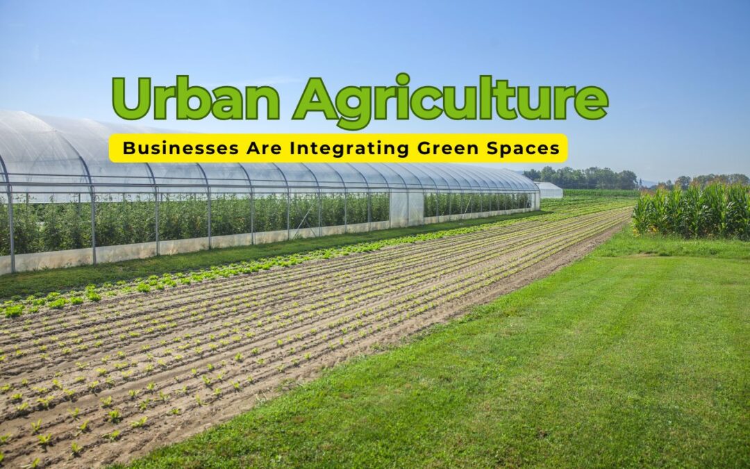 Urban Agriculture: How Businesses Are Integrating Green Spaces into Cityscapes