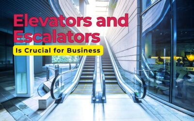 Why Regular Maintenance of Elevators and Escalators Is Crucial for Business